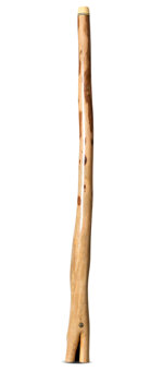 Wix Stix Didgeridoo (WS409)